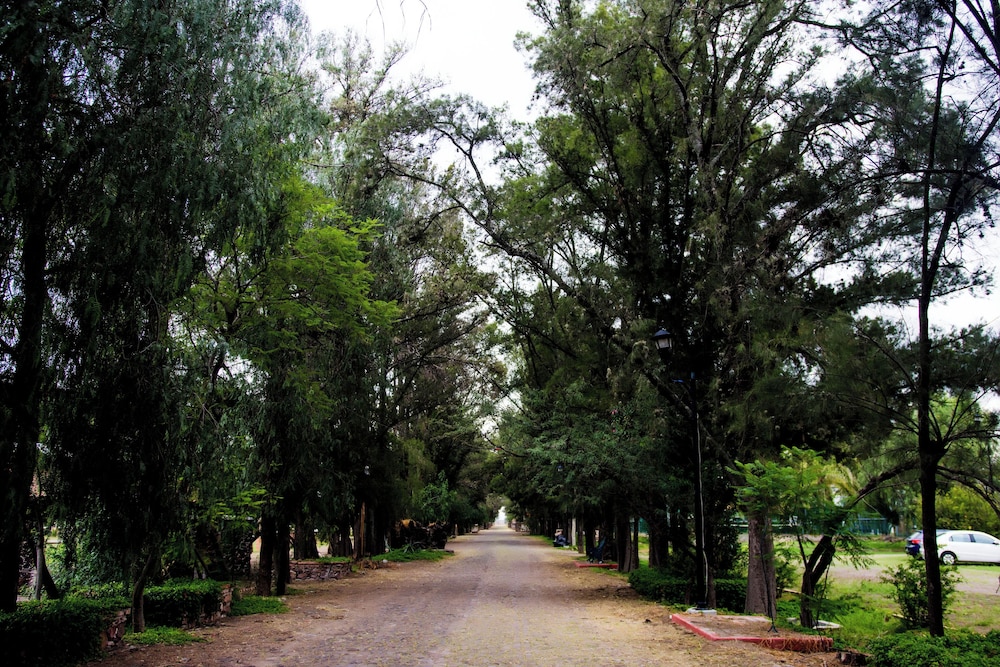 Hotel La Pitaya 67/69