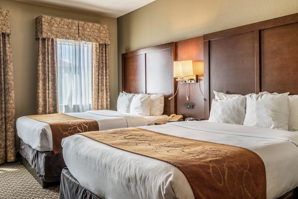 Comfort Suites Near Texas State University 8/32