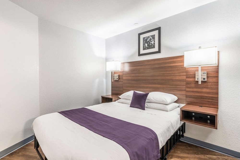 Suite, Queen Bed