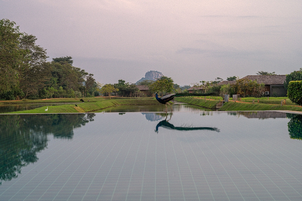 Water Garden Sigiriya 35/42
