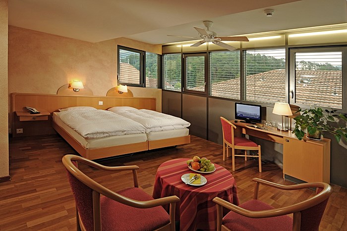 Hotel Crystal Interlaken 17/32