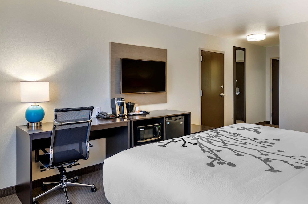 Sleep Inn & Suites Great Falls Airport 17/48