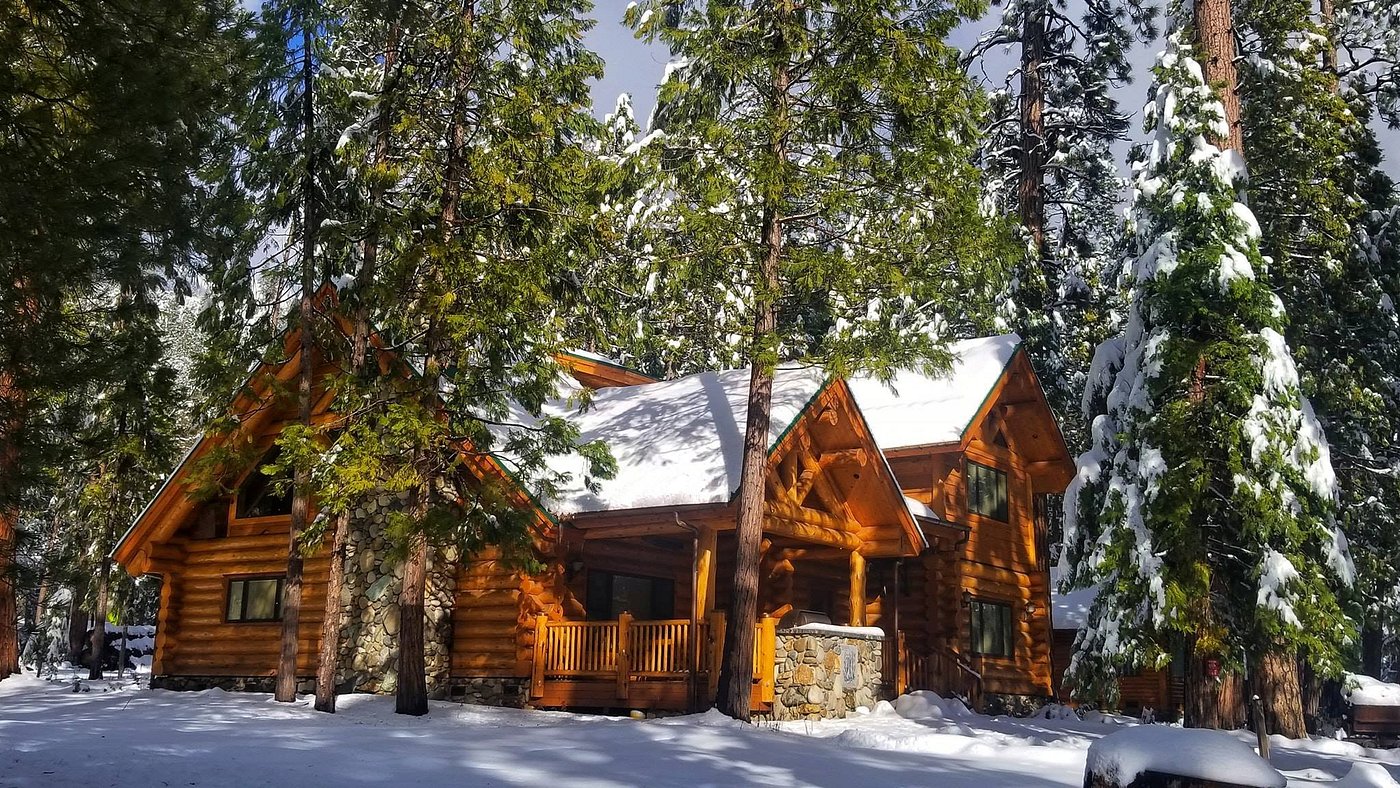 THE REDWOODS IN YOSEMITE 17/21