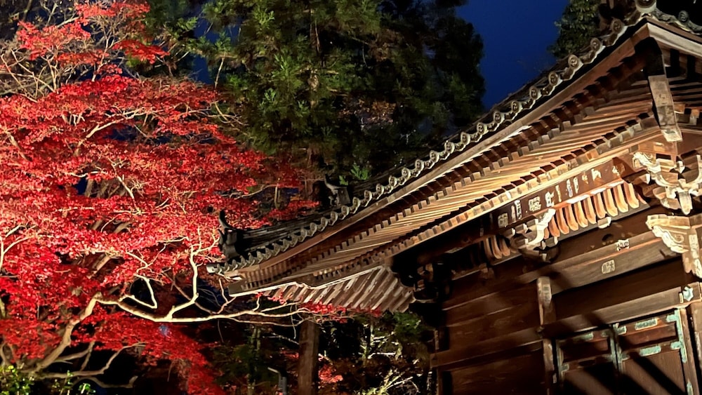 Vessel Inn Shiga Moriyama Ekimae 5/50