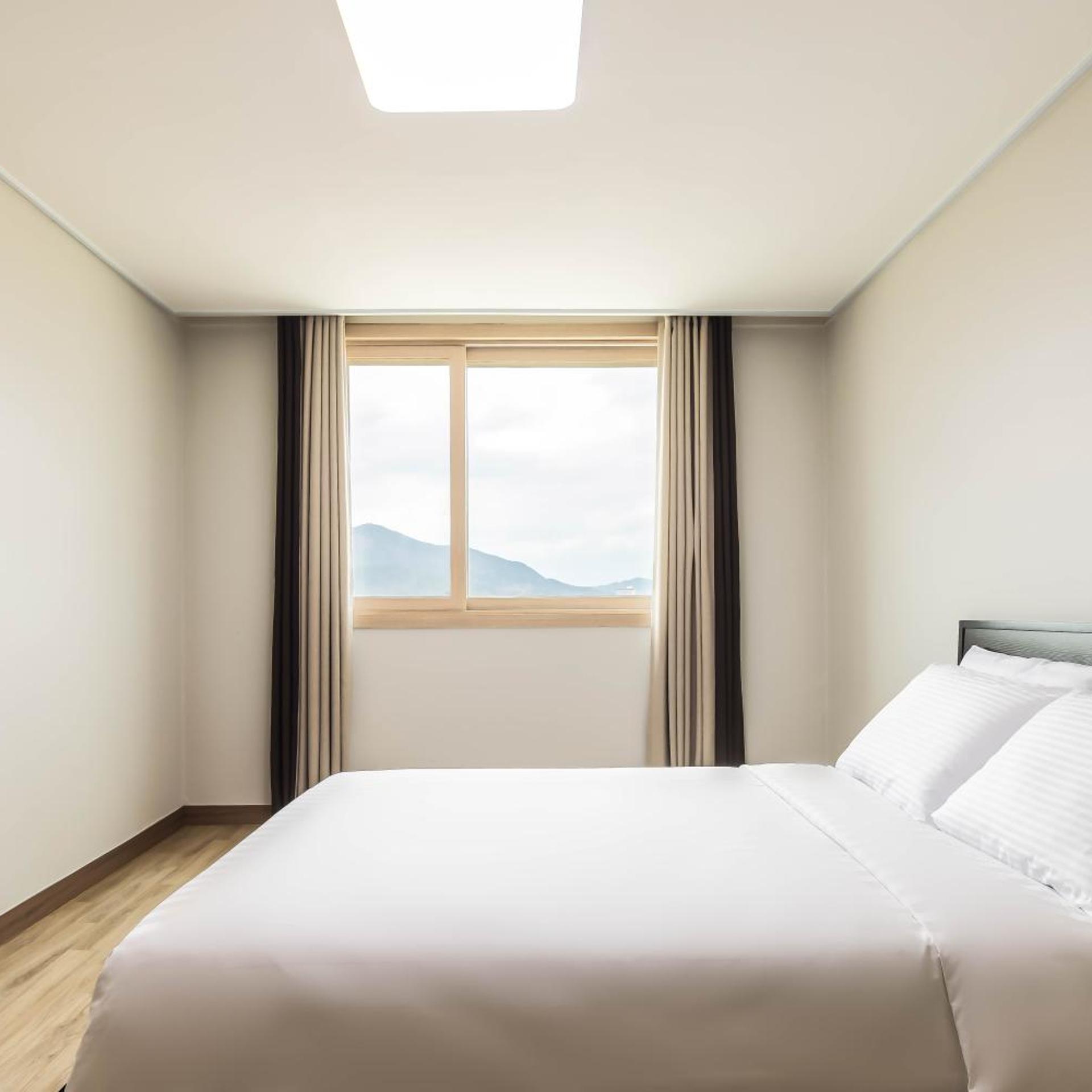 Deluxe Plus Room