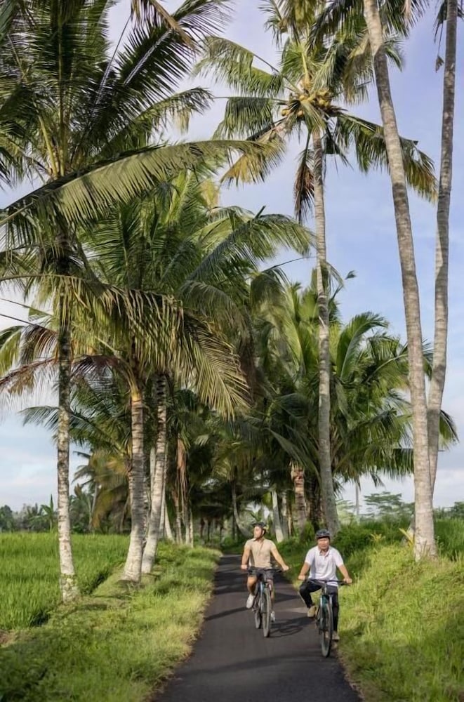 Wapa Di Ume Ubud 38/49