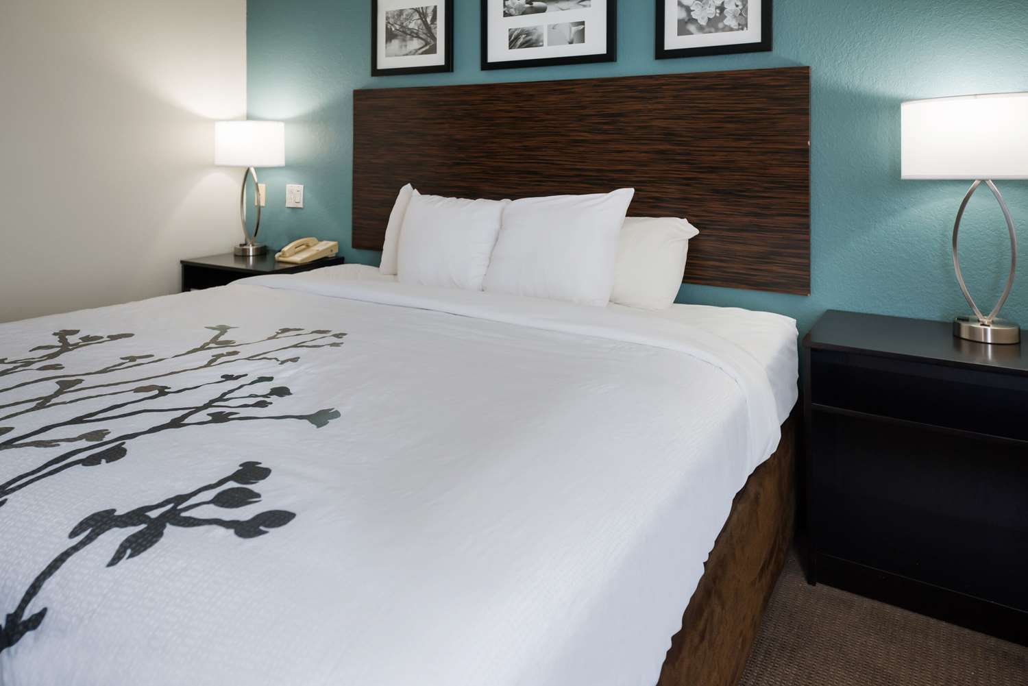 Room, Queen Bed