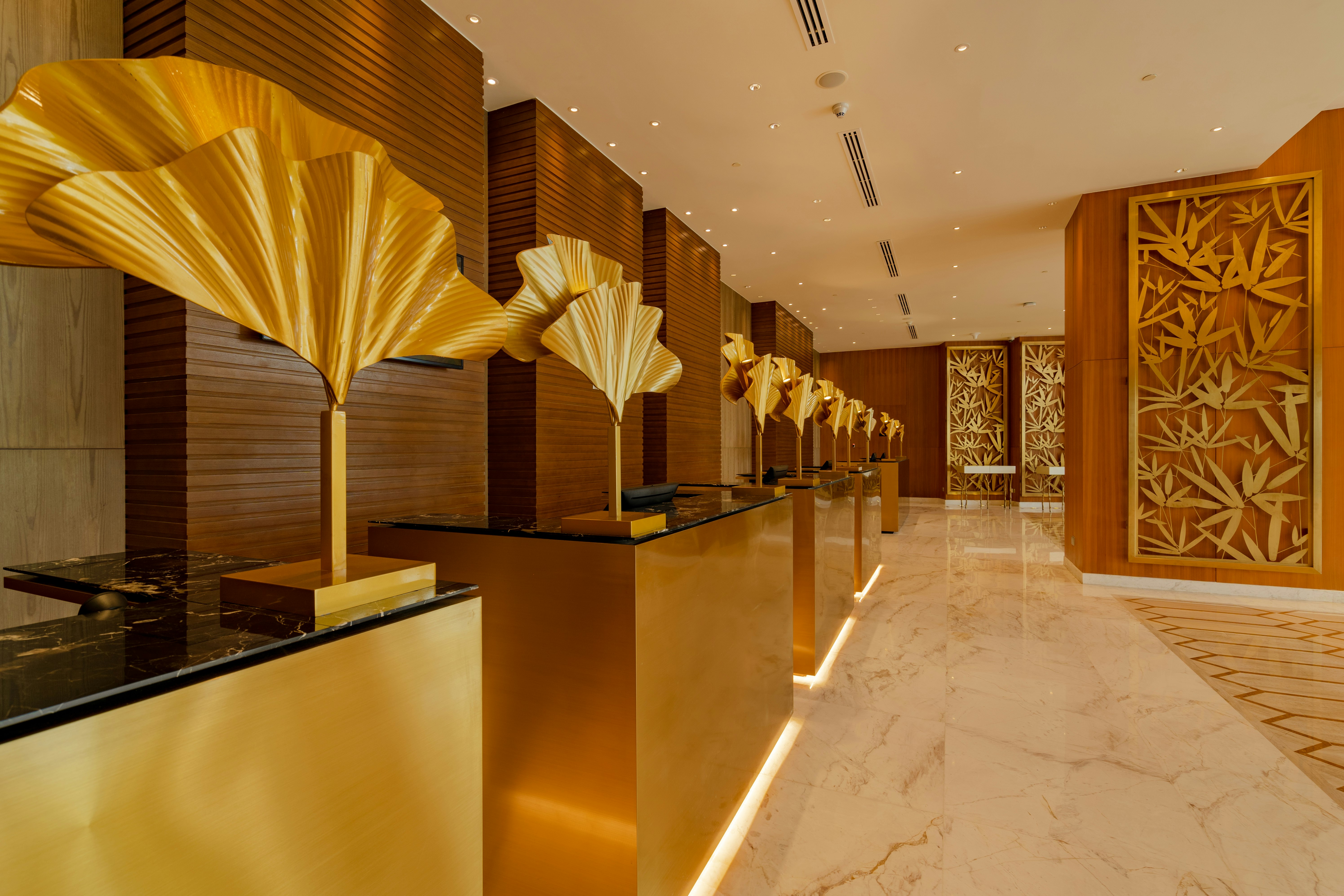 Johari Rotana 5/66