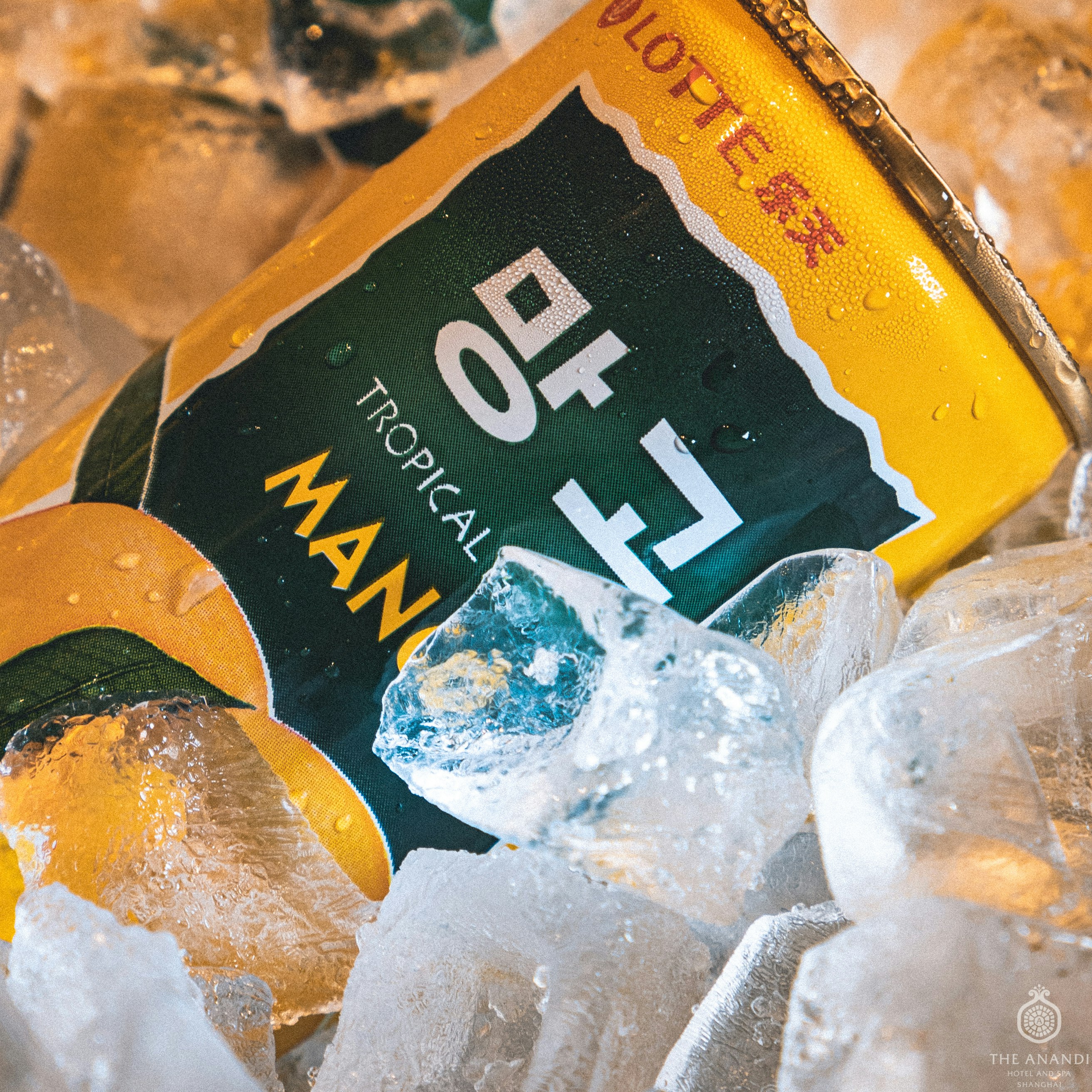 The Anandi Hotel and Spa Shanghai 16/50