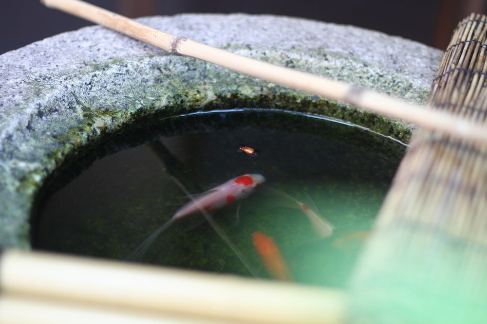 Guesthouse Kyoto Compass - Hostel 21/45