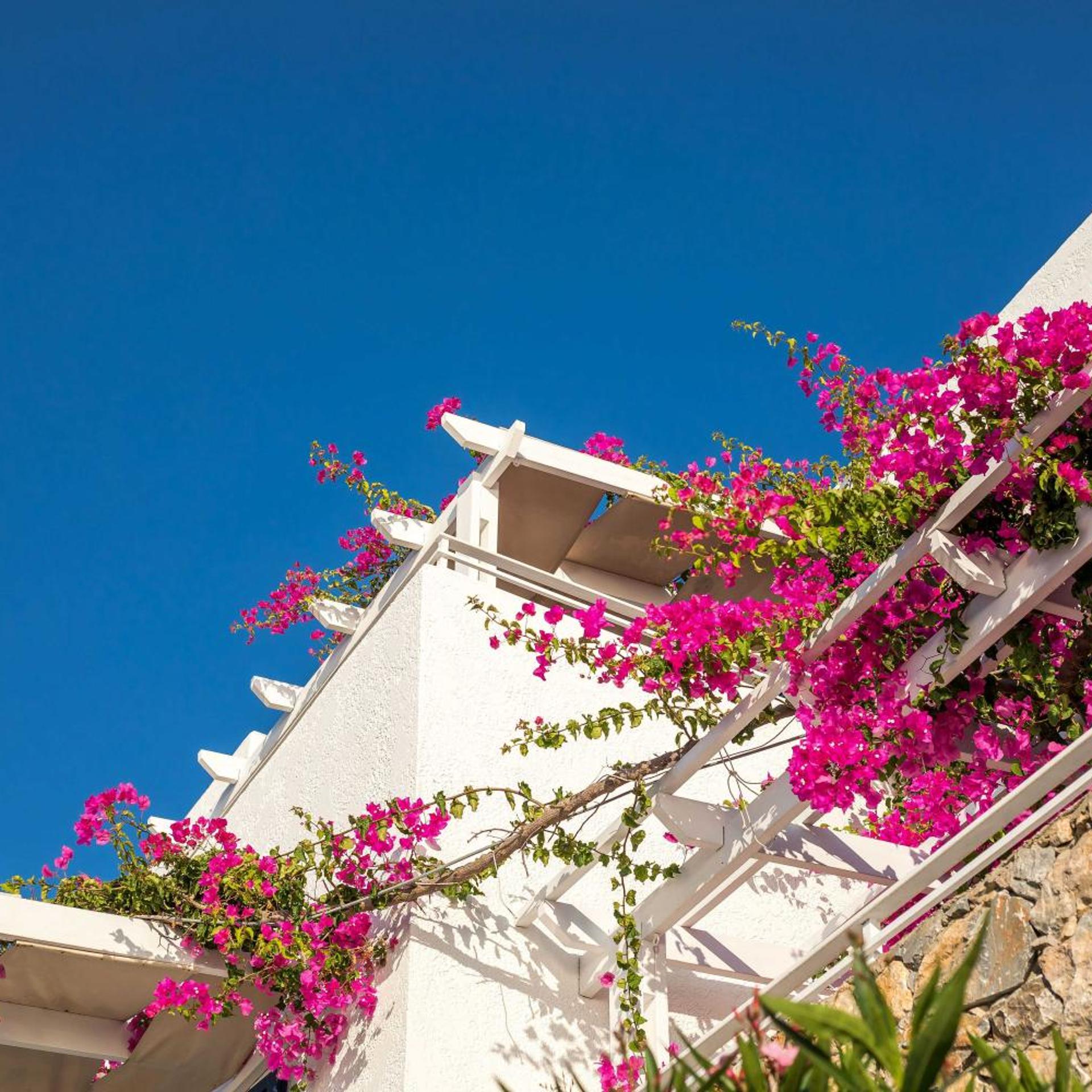 Ilidi Rock Apartments in TILOS
