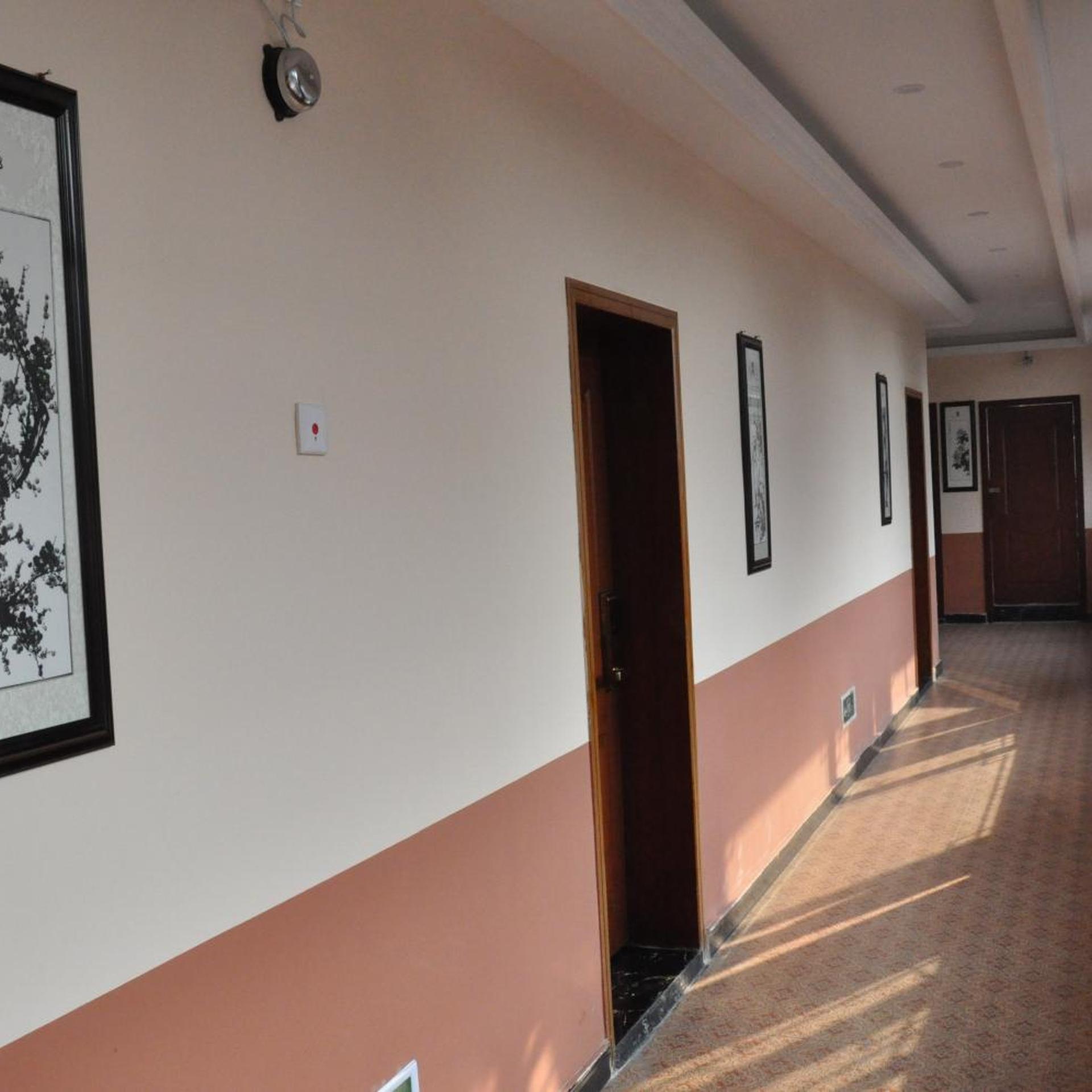 Holly Hostel 8/50