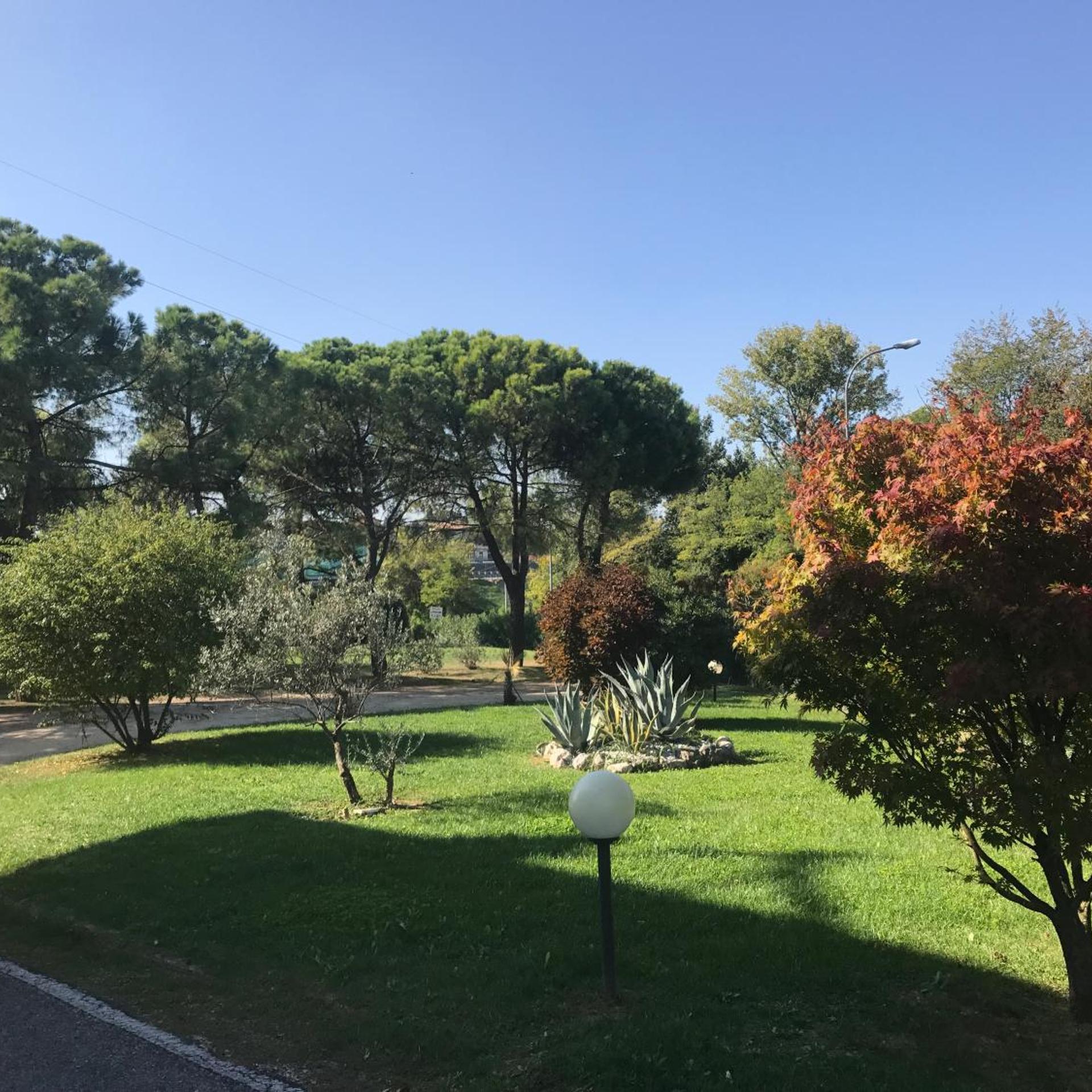 Nuova Barcaccia 29/50