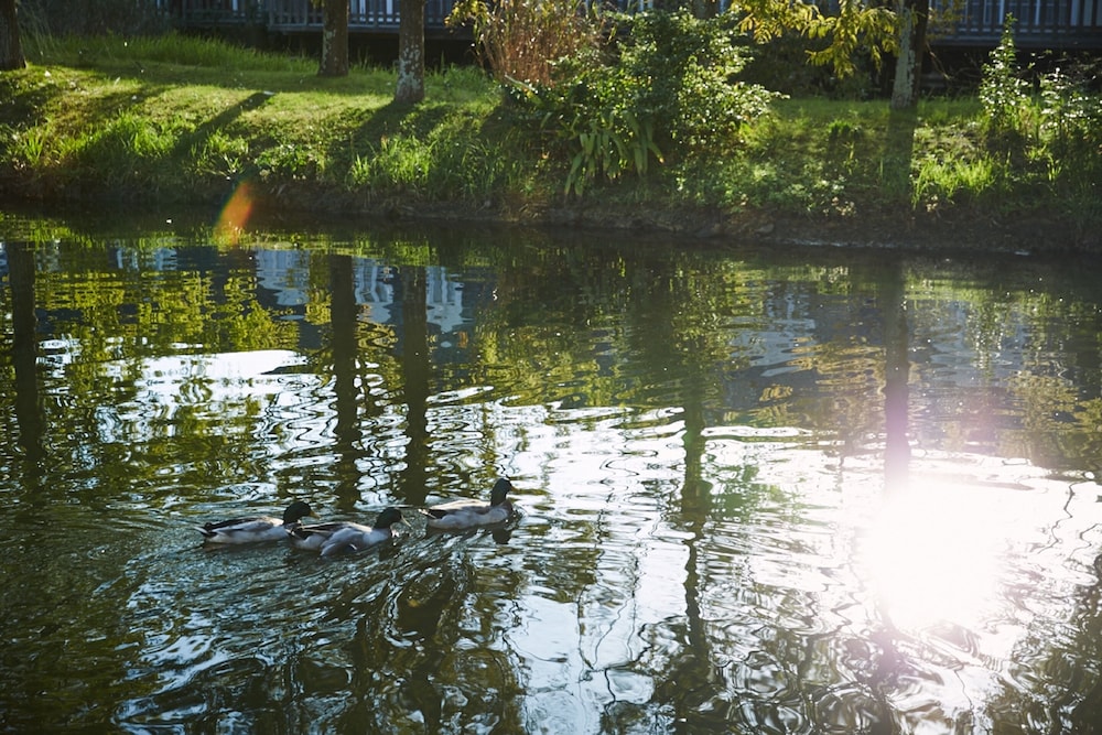 Huis Ten Bosch Forest Villa 20/50