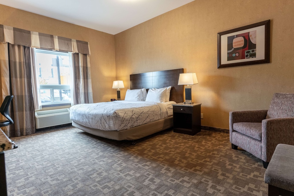غرفة قياسية بسرير كينج لذوي الإعاقة، Best Western Plus South Edmonton Inn and Suites 2/7