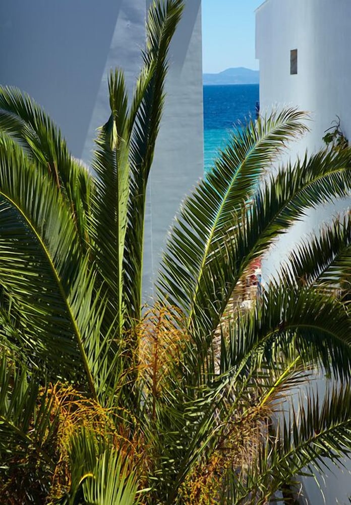 Margarita Sea Side Hotel 43/50