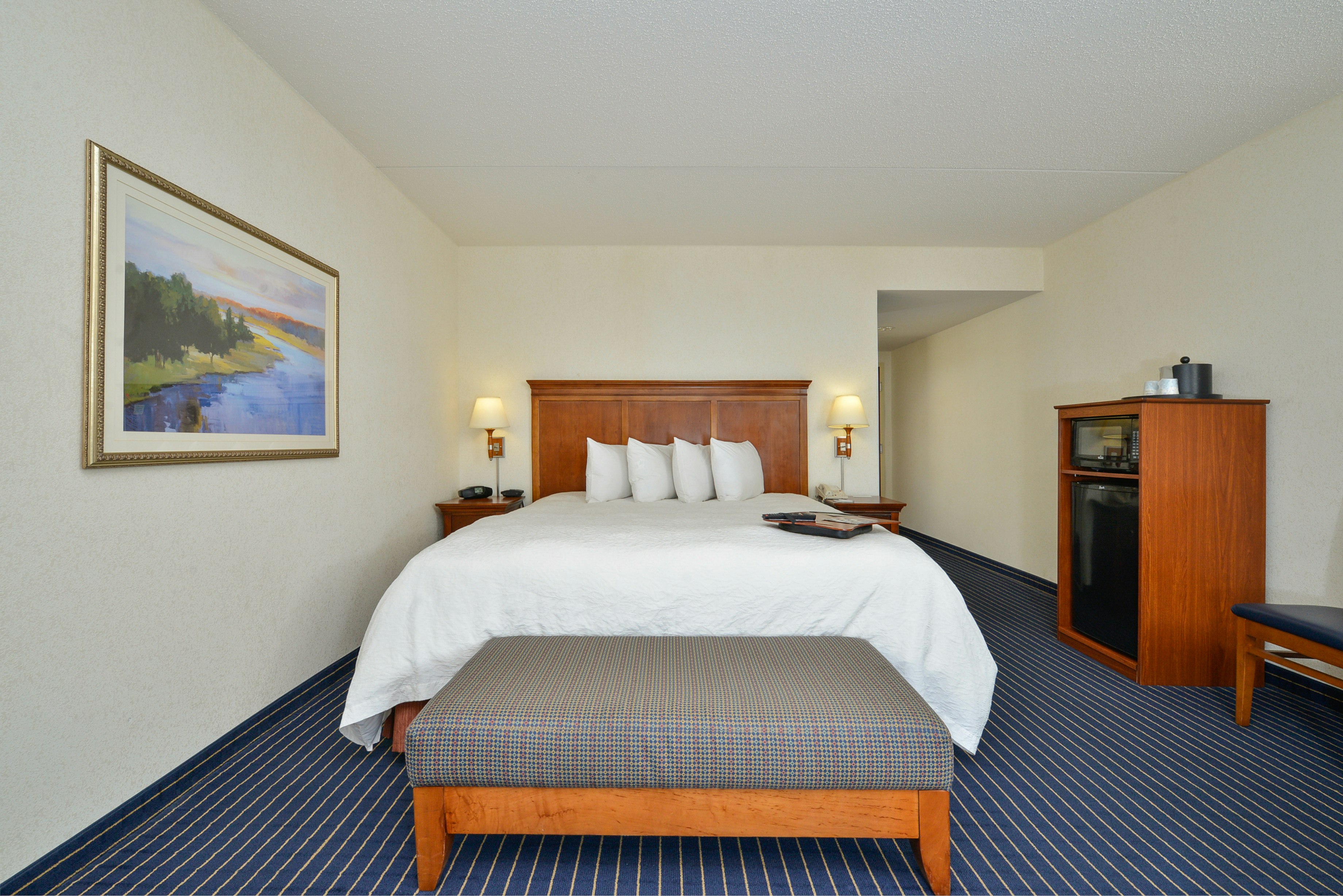 Hampton Inn Farmville 27/79