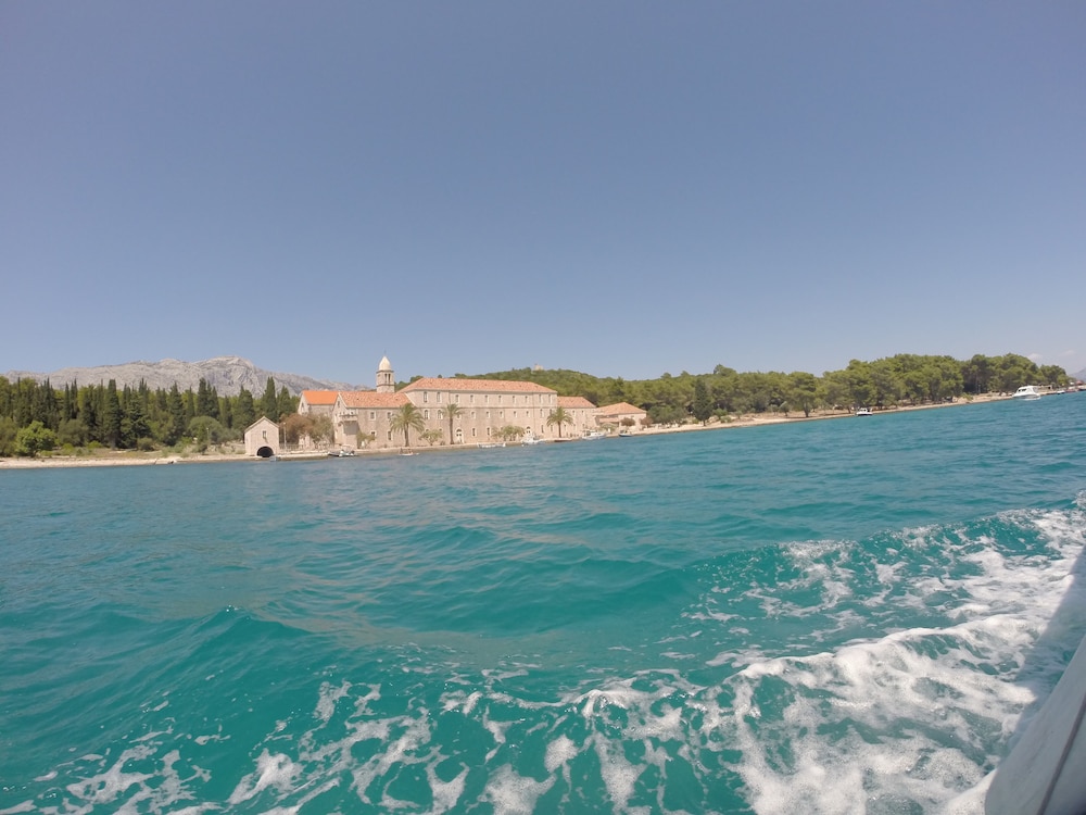 DRAGAN'S DEN HOSTEL 36/49