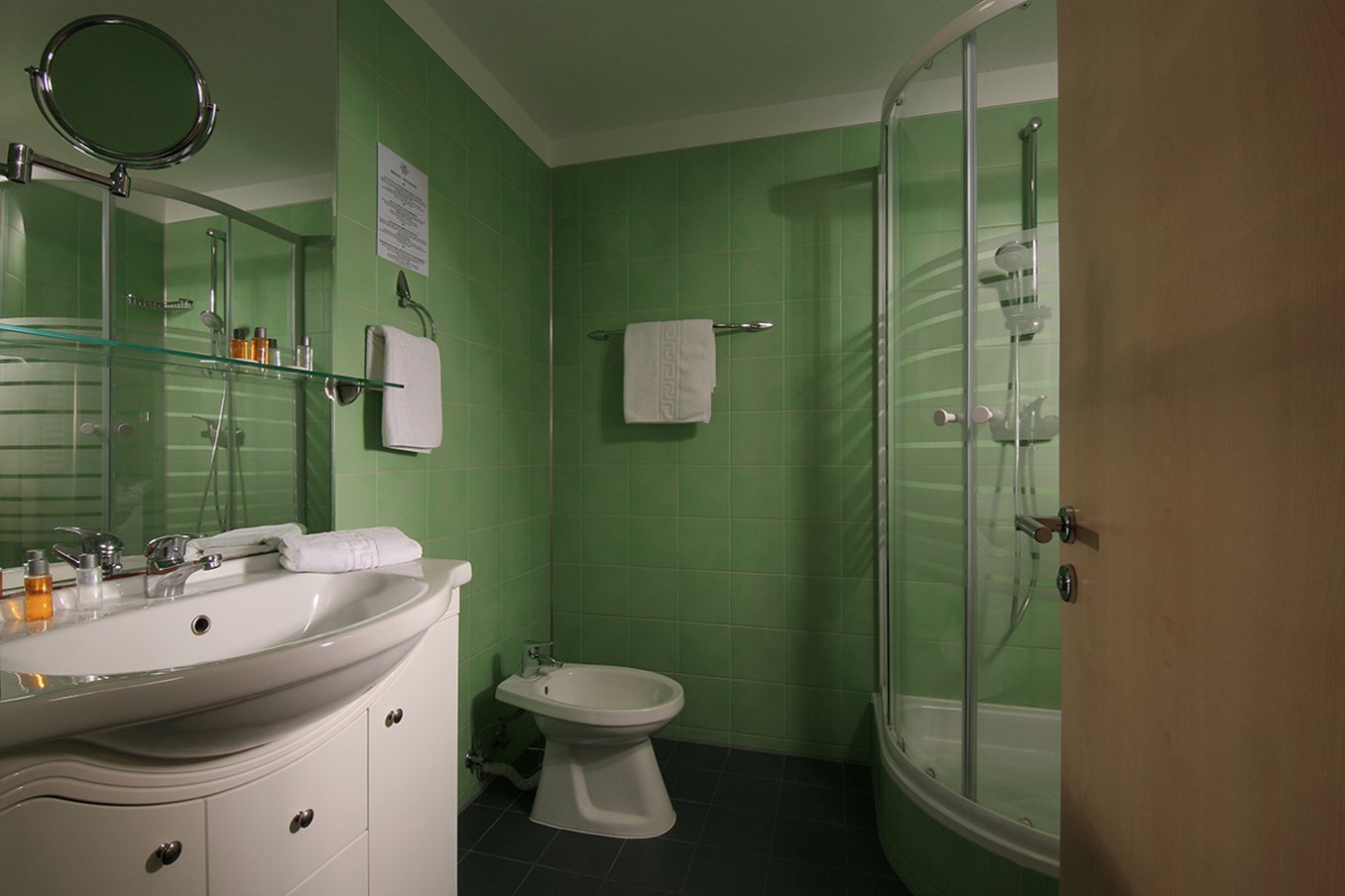 Reghina Blue Hotel Timisoara 17/19