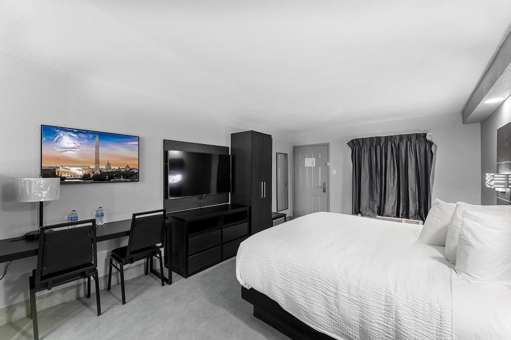 Suite, King Bed