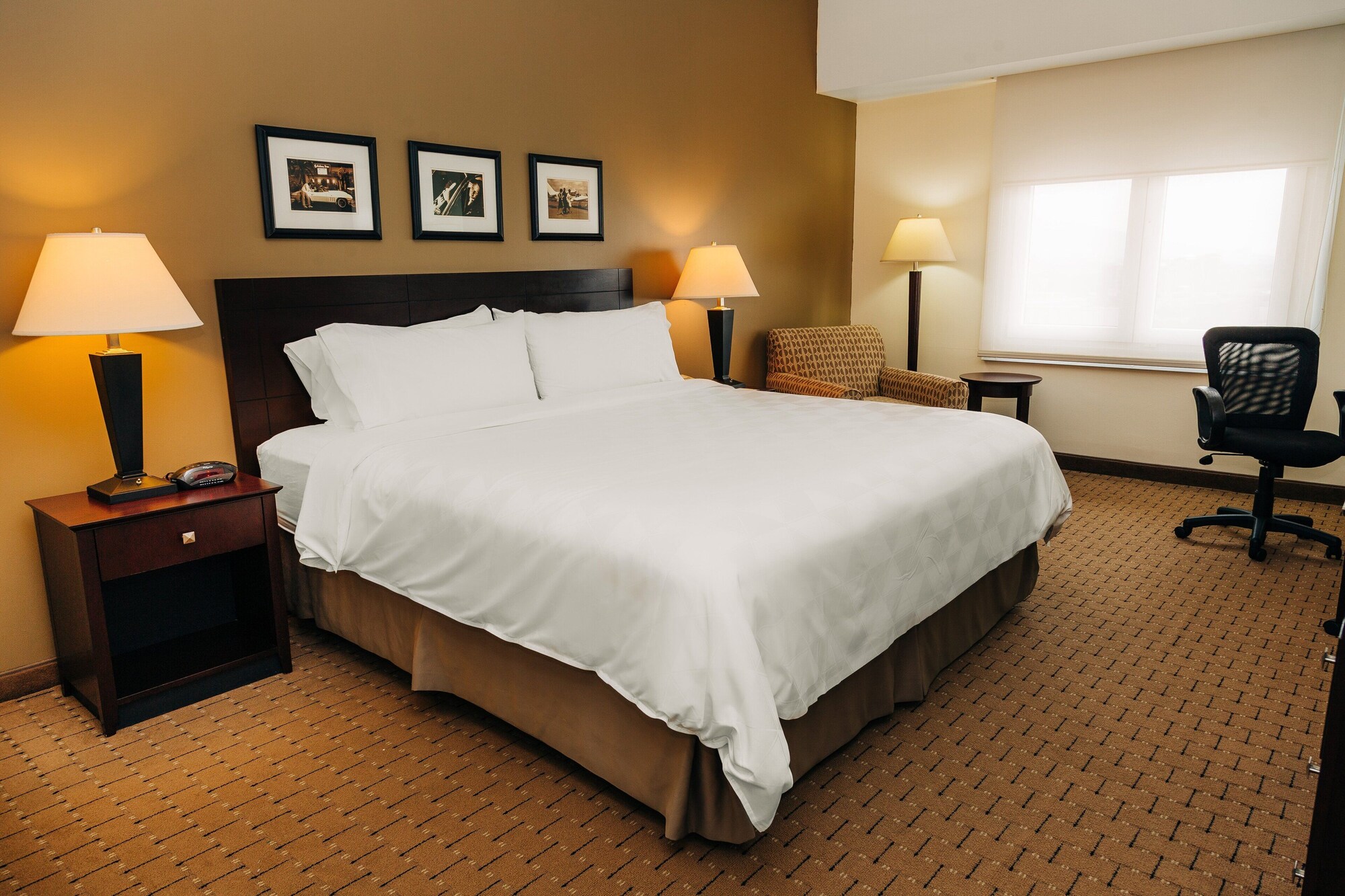 غرفة قياسية بسرير كينج لذوي الإعاقة، Holiday Inn San Salvador An Ihg Hotel 2/4