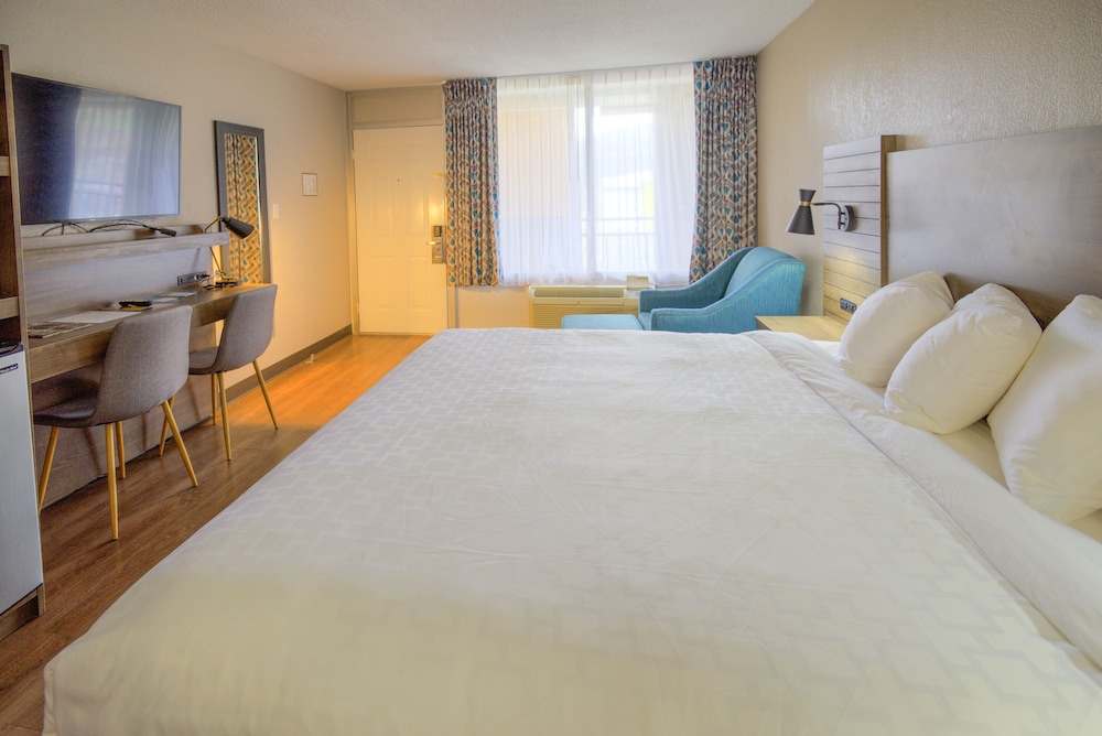 ROOM, KING BED, ACCESSIBLE