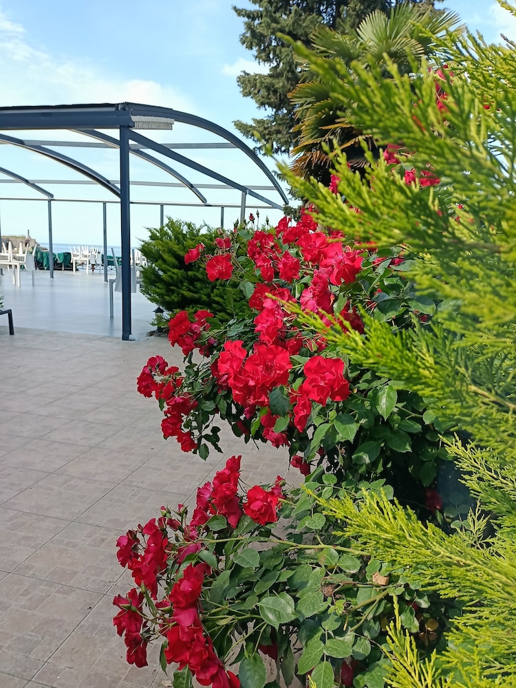 Mare Blu Hotel 23/27