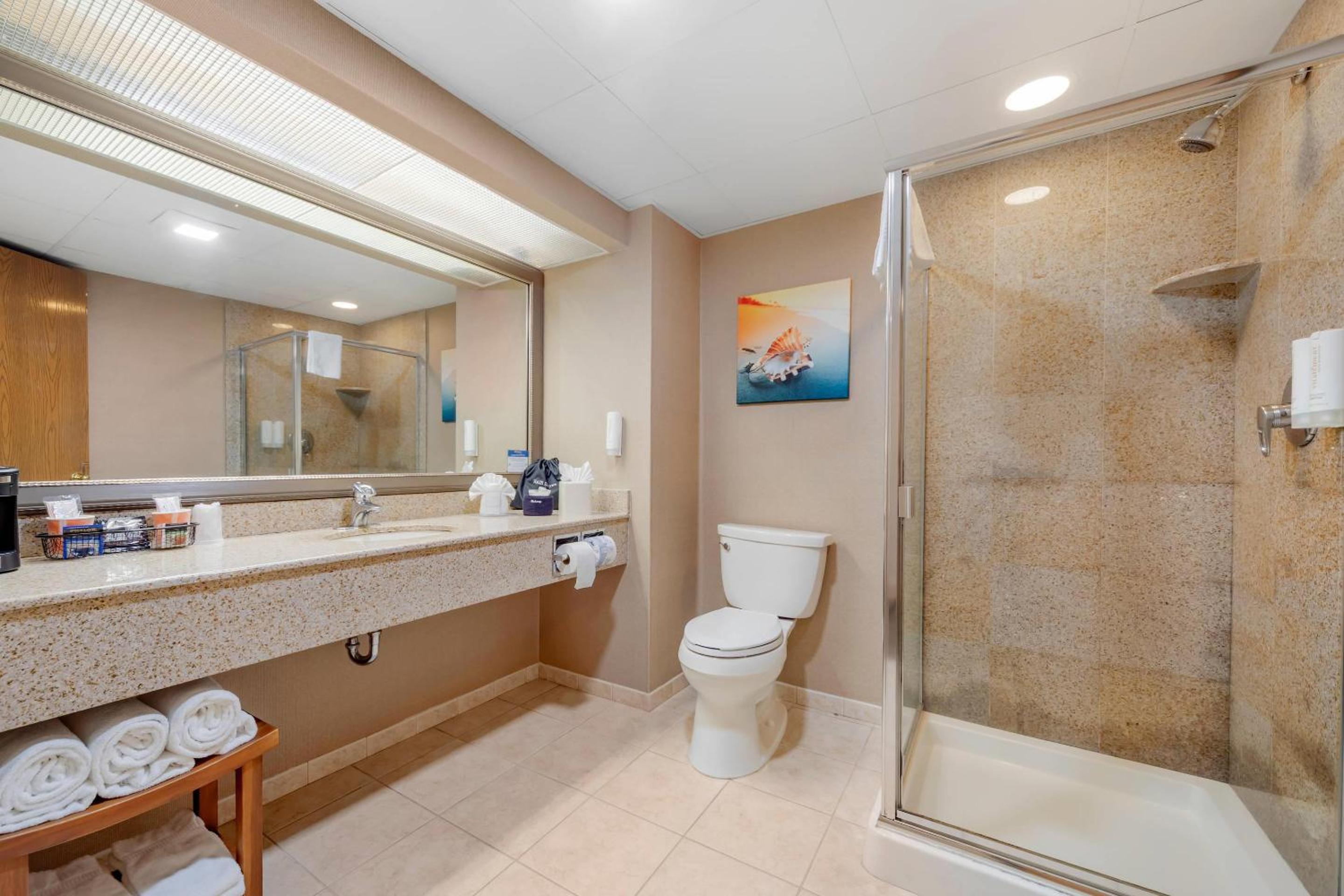 غرفة بسرير كينج بحوض جاكوزي، Clarion Hotel & Conference Center Toms River 5/7