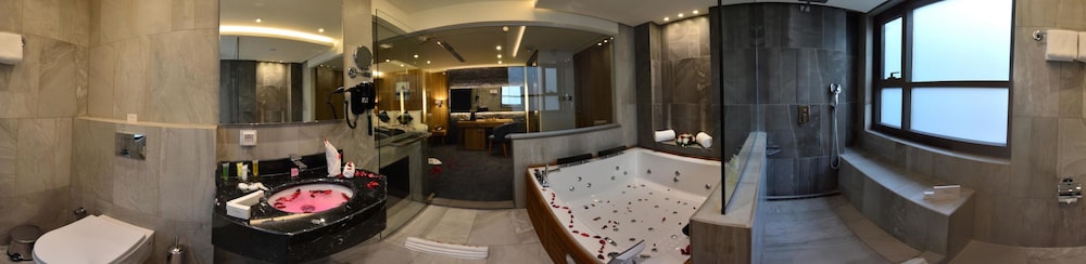 Monarch Hotel Amman 29/33