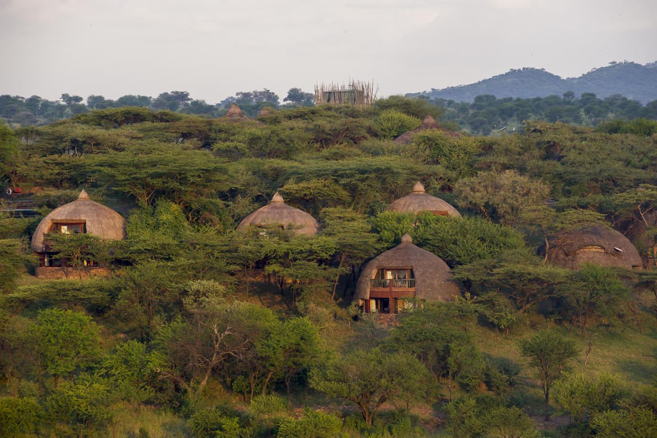 Serengeti Serena Safari Lodge 47/58