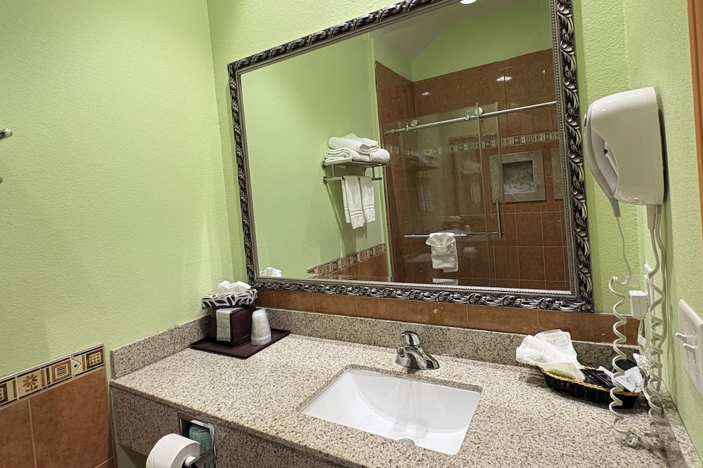 Regency Inn & Suites By Capital O Houston IAH Airport 65/66