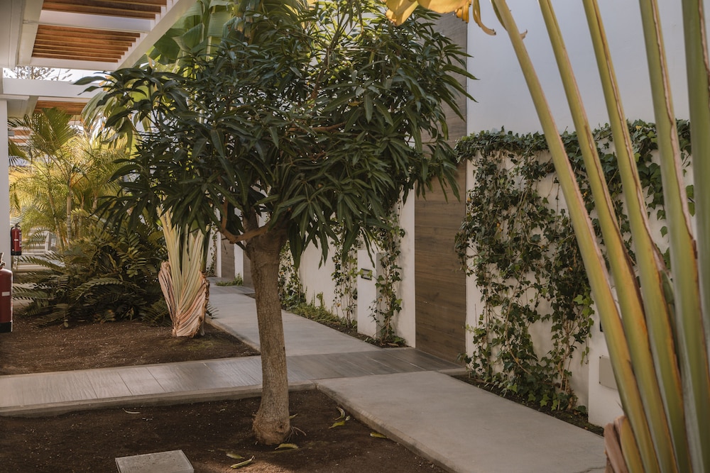Silvi Villas by TAM Resorts 24/39