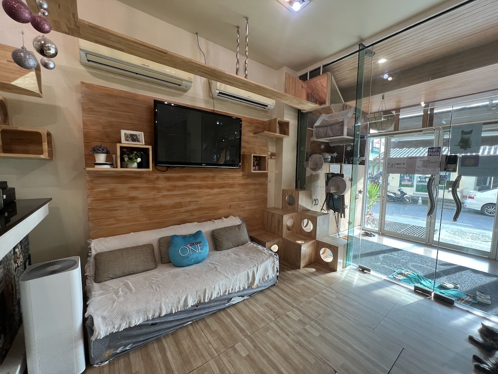 Cat Story Hotel 24/34