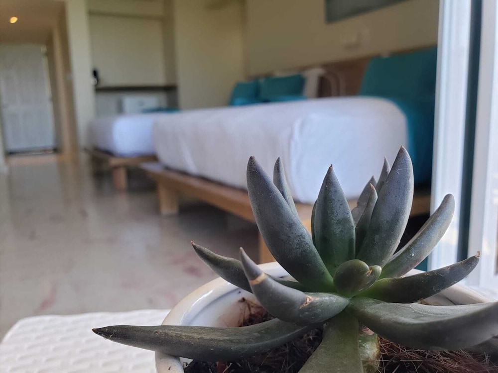 Paraiso Ecolodge 20/59