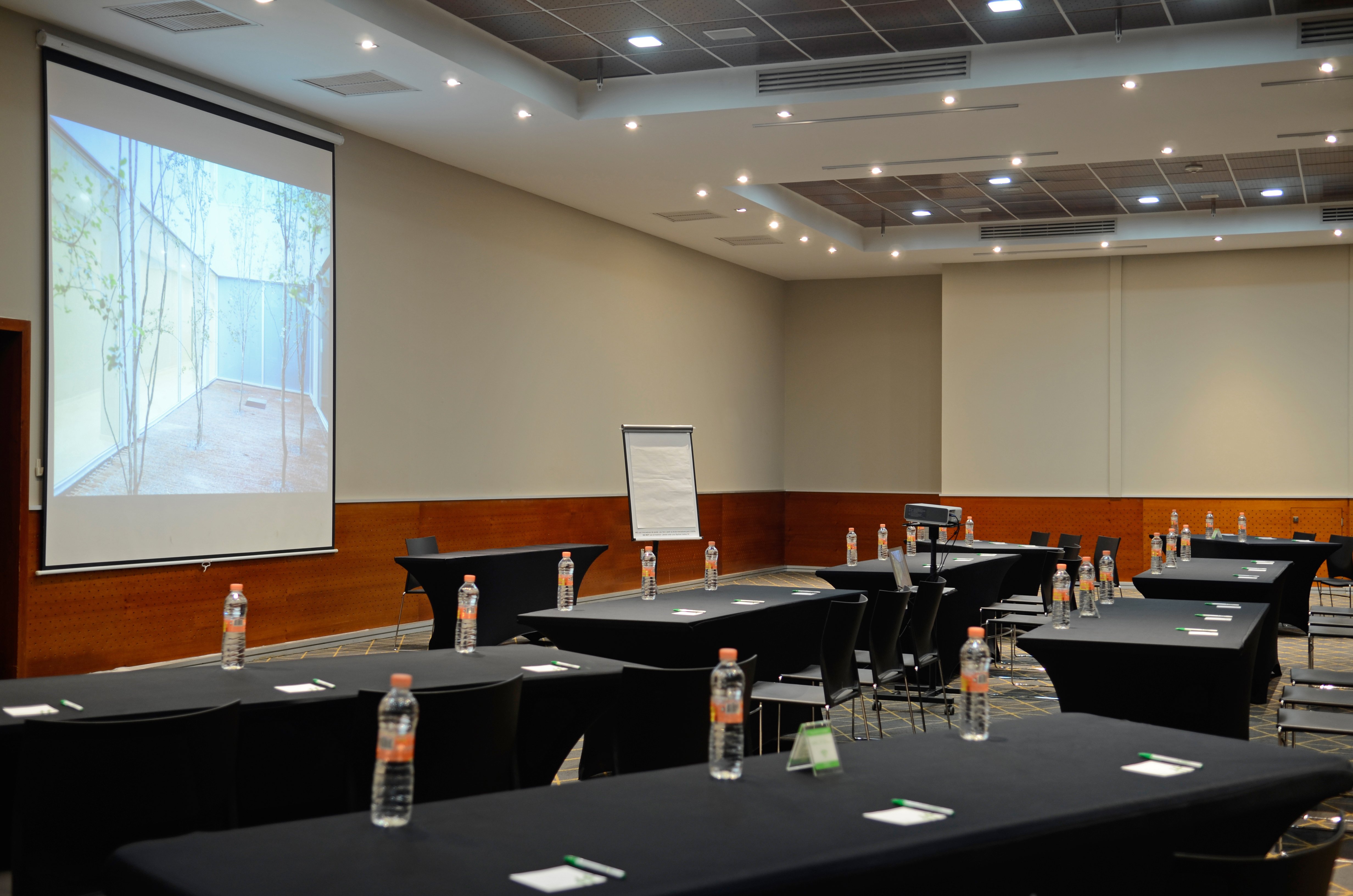 Holiday Inn San Luis Potosi-Quijote 36/50