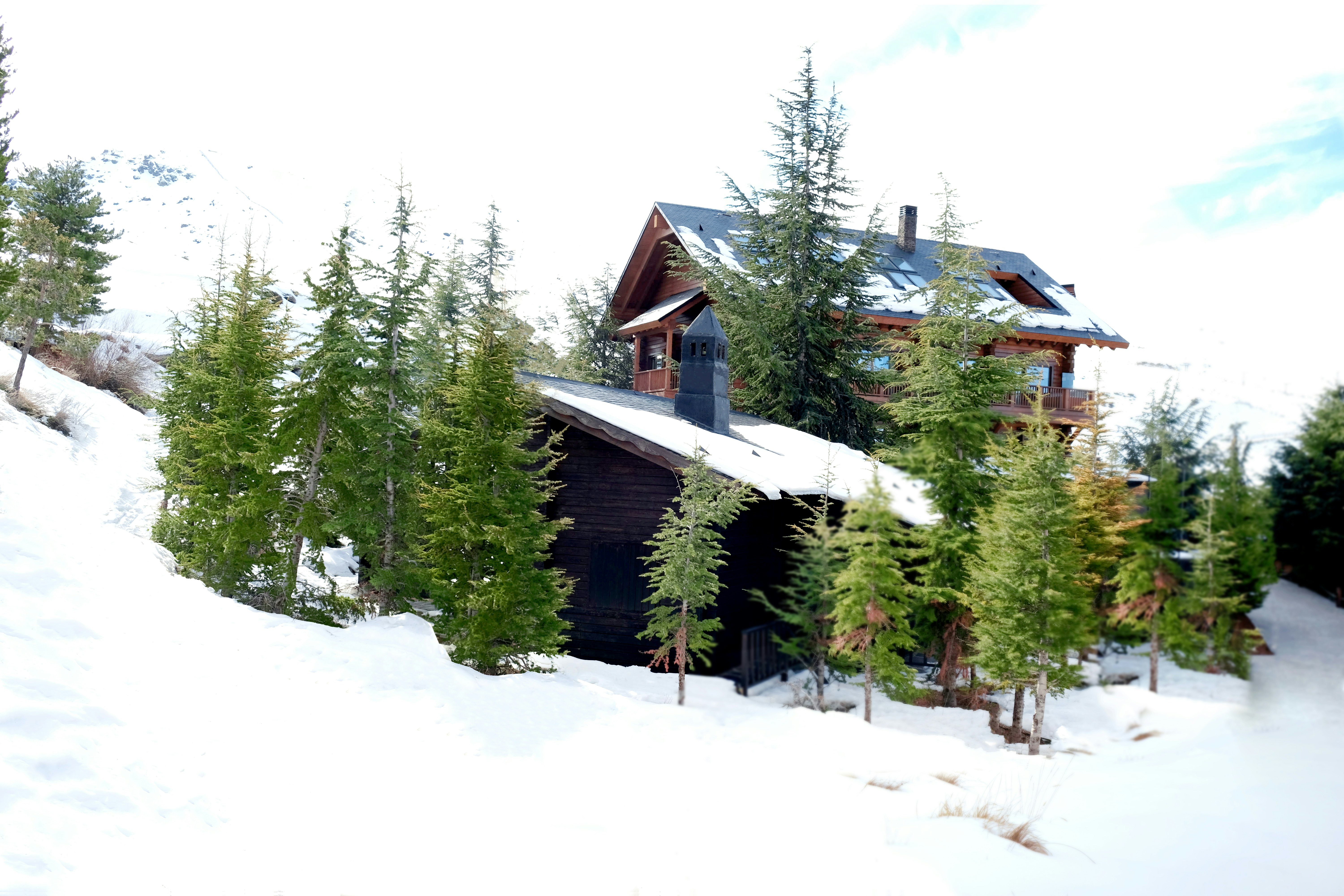 El Lodge 2/37