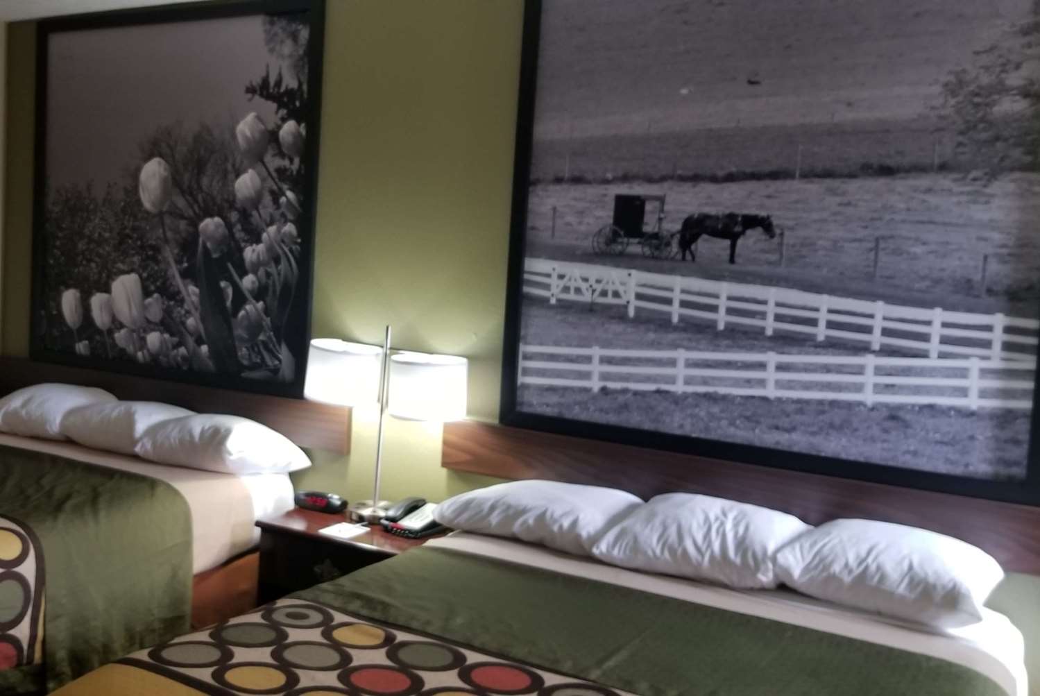 Super 8 by Wyndham Bellefontaine 13/38