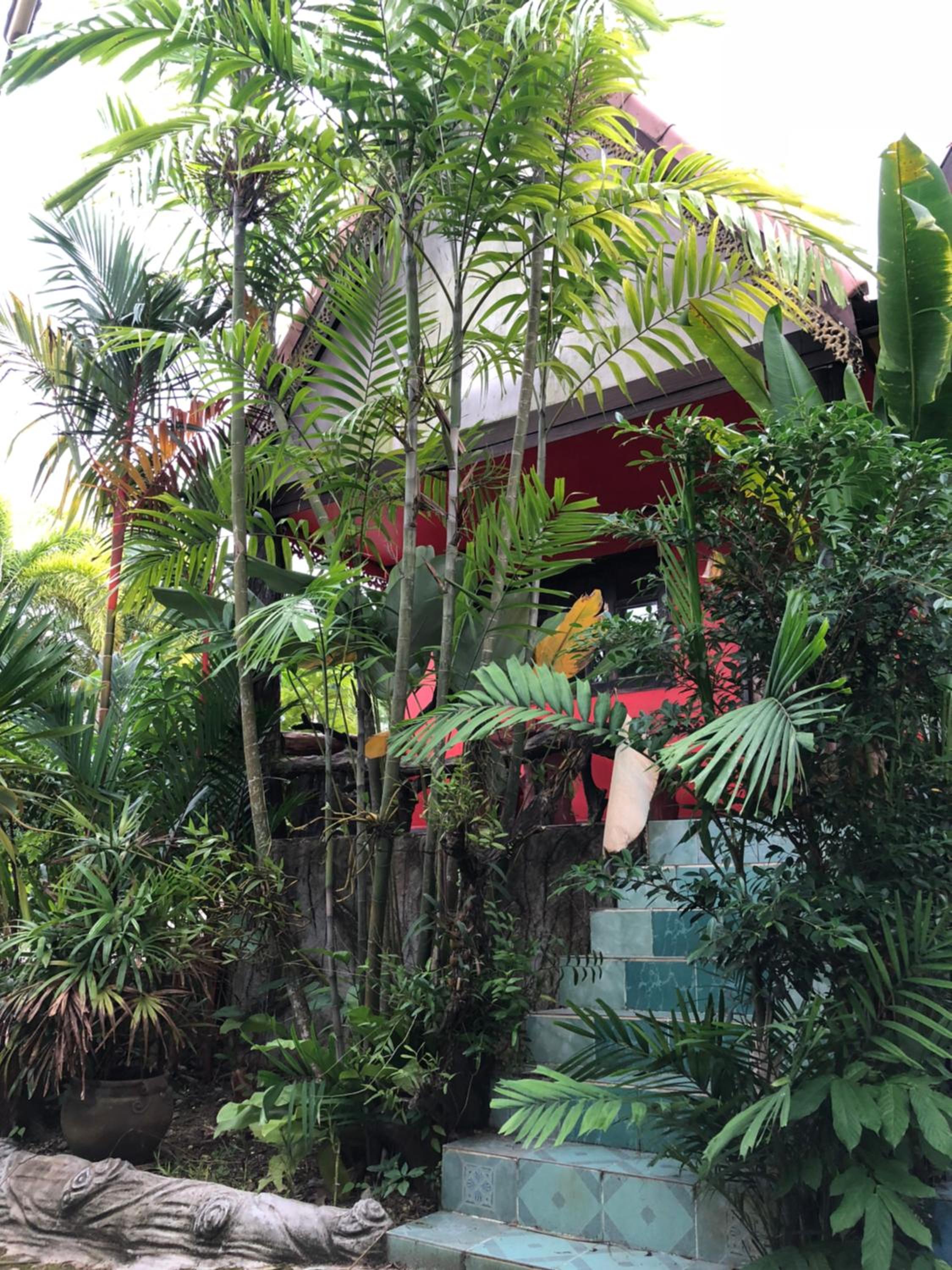 Ruan Mai Sang Ngam Resort 41/47