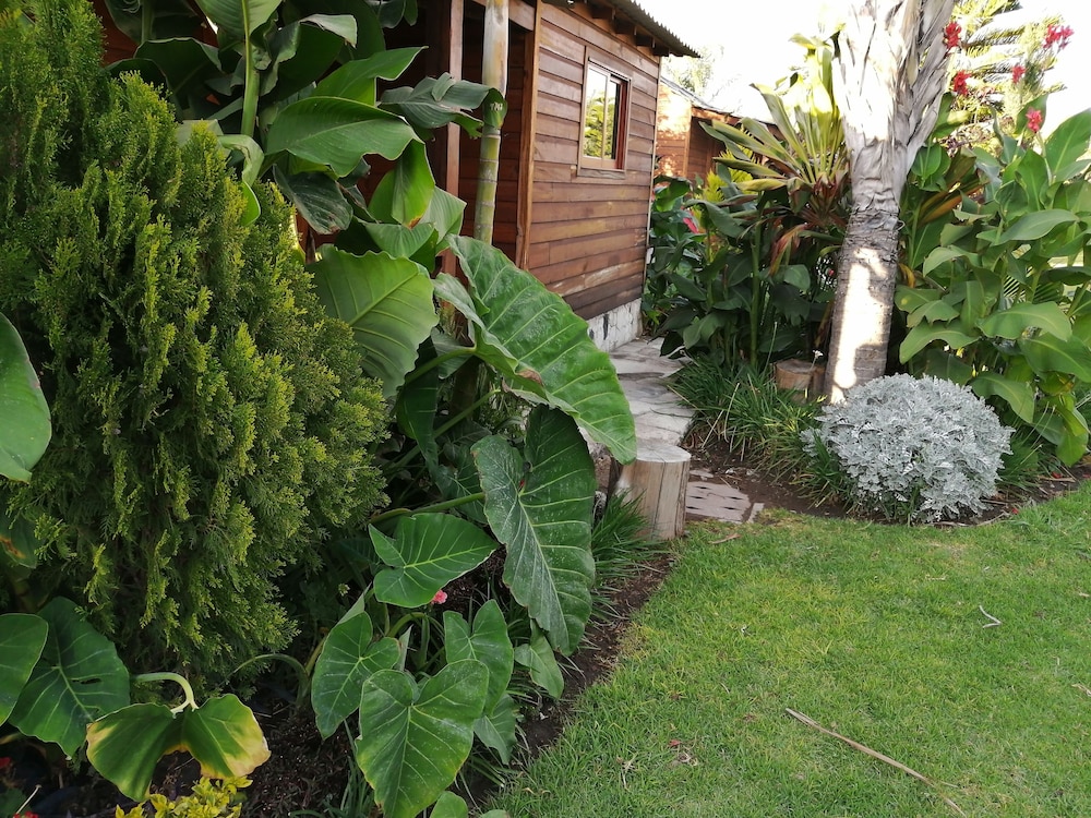 Cabañas la finca 2 32/50