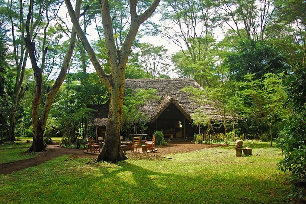 MIGUNGA TENTED CAMP 41/47
