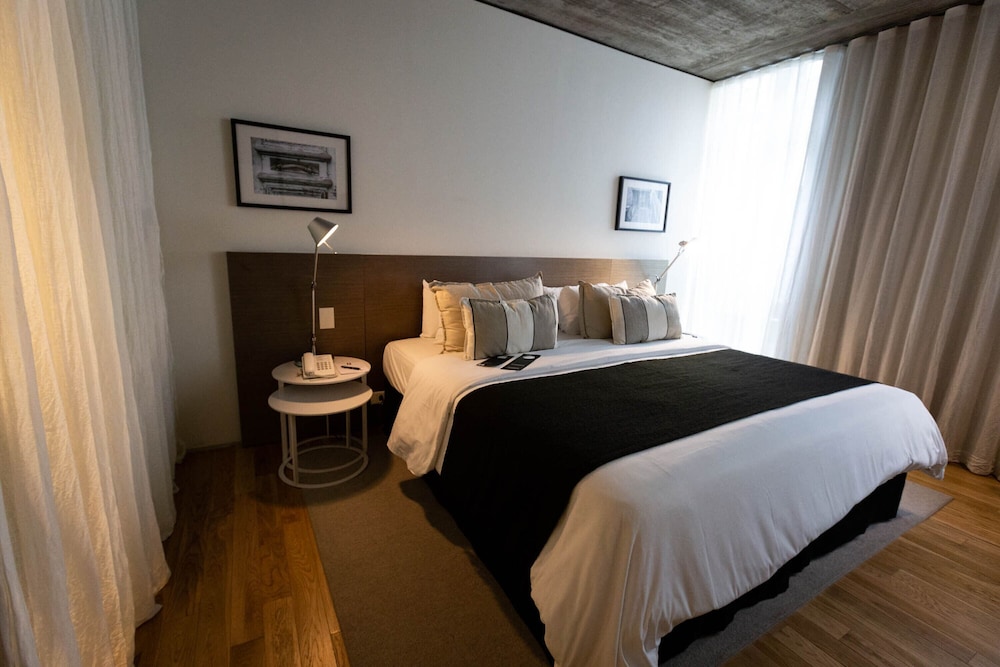 Anselmo Buenos Aires Curio Collection By Hilton 10/47