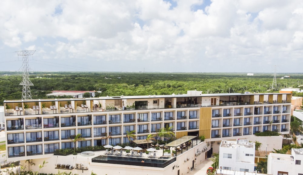 Hive Cancun in CANCUN