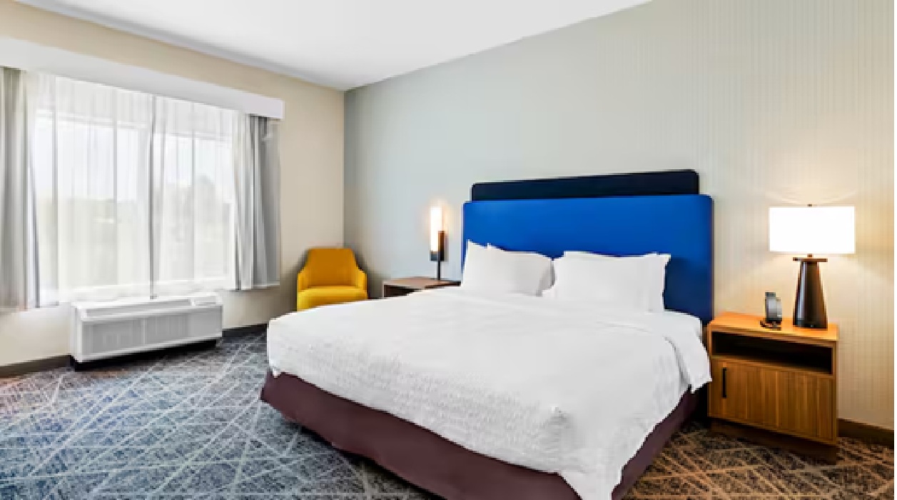 Room at Hampton Inn Daleville, DALEVILLE - VA
