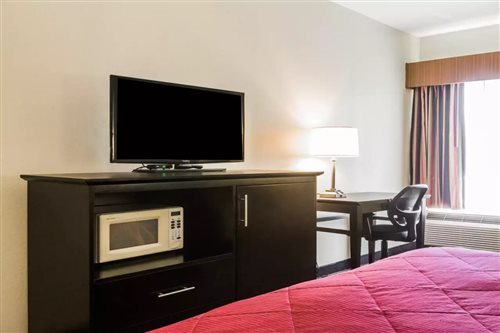 Room, King Bed