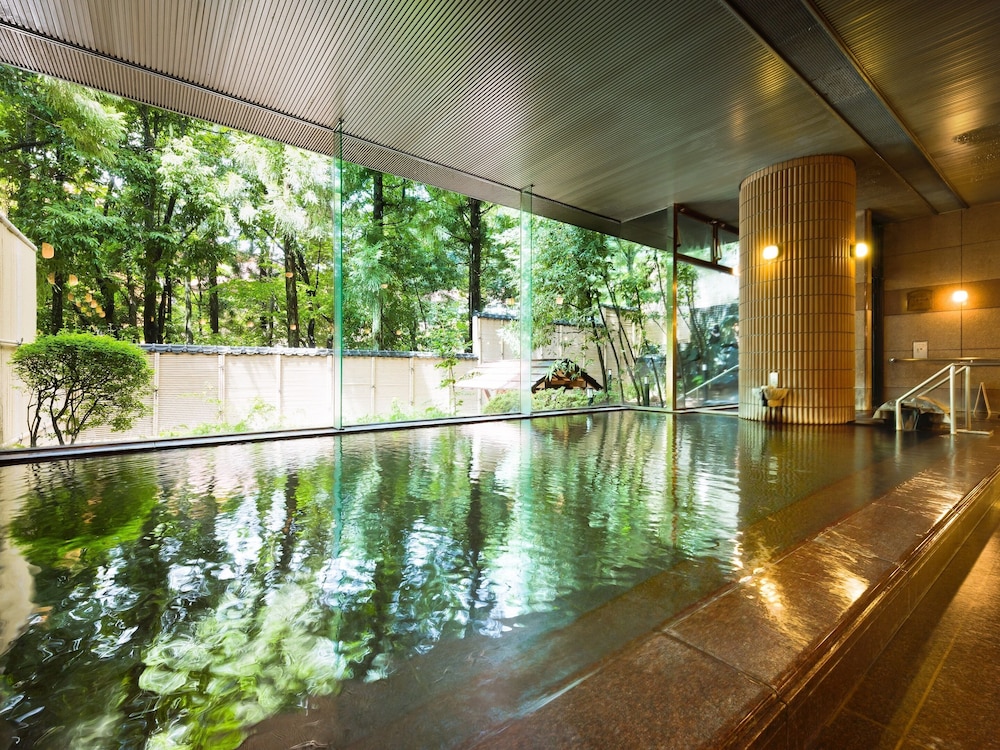 swimming pool spa
