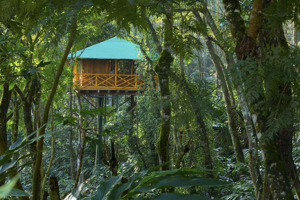 Dream Catcher Plantation Resort 43/50