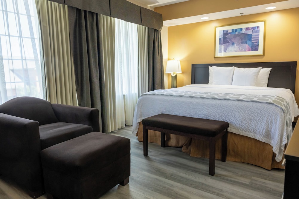 Executive, Suite, King Bed, Jetted Tub