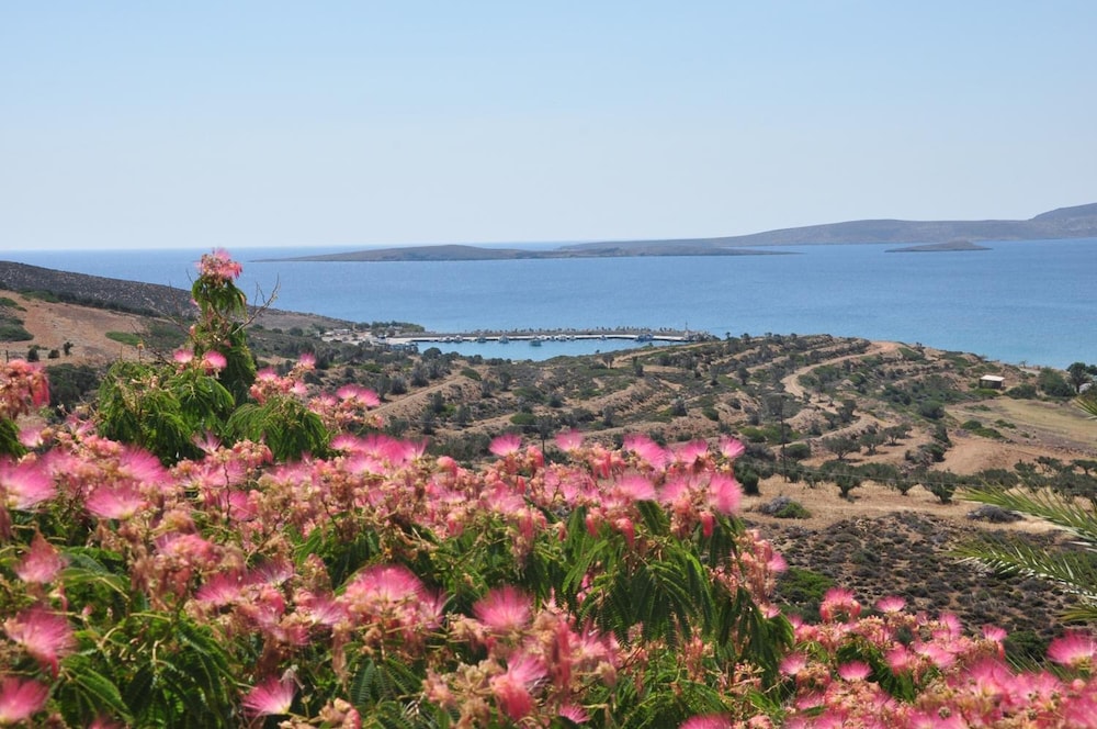 CASTRI VILLAGE HOTEL 34/50