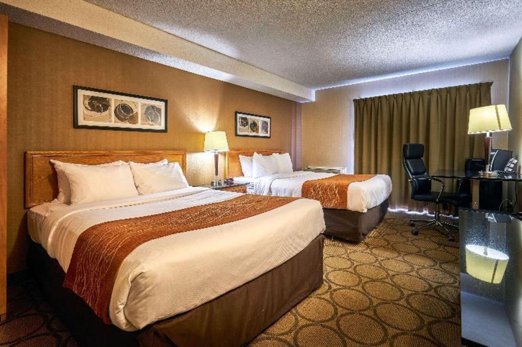 Room, 2 Double Beds