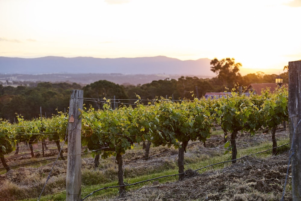 Wandin Valley Estate 30/37